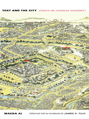 cover image of Text and the City